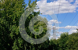 Electrical network of poles on blue sky and surrounded by green bushes and trees