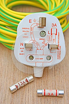 Electrical plug and fuse