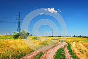 Electrical power lines in the field