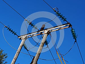 Electrical power lines with glass insulators