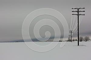 Electrical power lines with hoarfrost on the wooden electric pole on countryside in the winter,