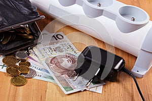 Electrical power strip with disconnected plug and polish currency money, energy costs