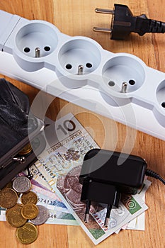 Electrical power strip with disconnected plugs and polish currency money, energy costs