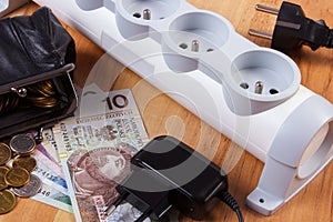 Electrical power strip with disconnected plugs and polish currency money, energy costs