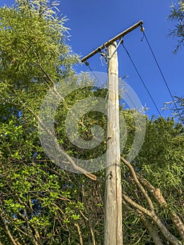 Electrical power wooden post with blue sky background