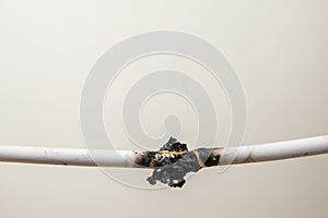 Electrical short circuit. Wiring cable on fire flame