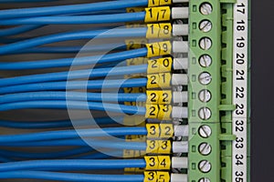 Electrical signaling wiring