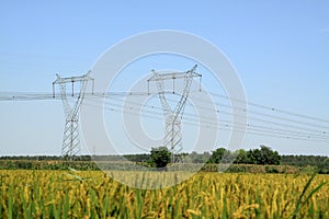 Electrical tower