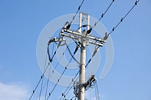 Electrical tower