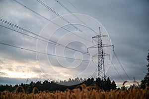 Electrical tower and wires running above golden wheat field