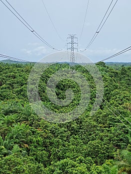 Electrical transmision line