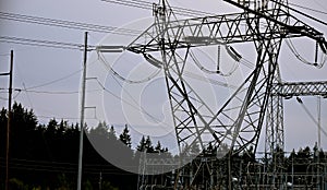 Electrical Transmission Lines