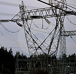 Electrical Transmission Lines