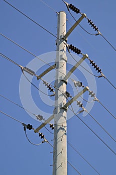 Electrical Utility Pole