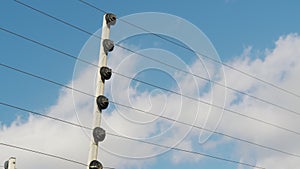Electrical wire and structural isolated on blue sky and white cloud closeup.