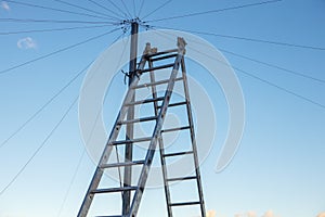 Electrical wiring on the roof of a high-rise building, a double staircase against the blue sky.