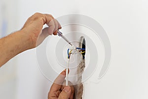 Electrician checking the presence of electrical current in a wire circuit in a home