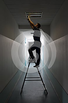 Electrician on stepladder installs lighting to the ceiling