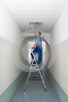 Electrician on stepladder installs lighting to the ceiling photo