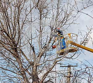 Electricistas limpiar eléctrico conductores hacer un árbol 