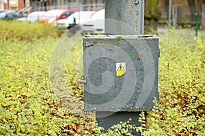 Electricity box with warning sticker by a green bush.