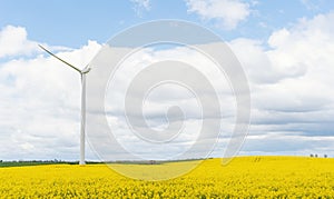 An electricity-generating windmill on yellow rapeseed field against a cloudy blue sky in Yorkshire