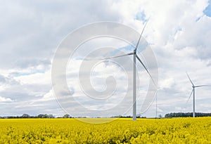 An electricity-generating windmill on the yellow rapeseed field against cloudy blue sky in Yorkshire
