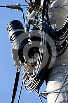 Electricity pole