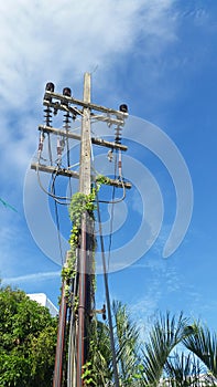 Electricity pole and blue sky background