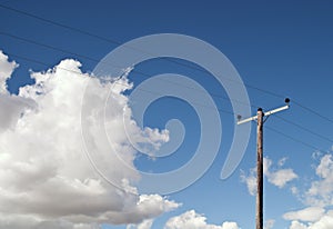 Electricity Pole on Blue Sky and Fluffy Clouds photo