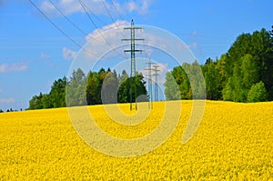 Electricity pole in fielda