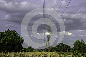 Electricity pole with green corn fields against silhouette sunset sky