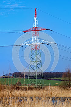 Electricity poles