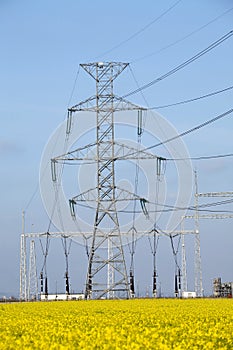 Electricity poles
