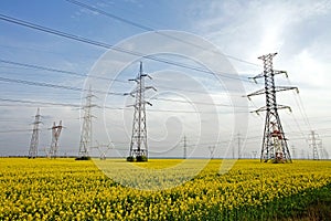 Electricity poles photo