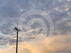 Electricity poles along a road near the rice field