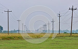 Electricity poles with cable lines through the agricultural field