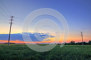 Electricity poles in the field