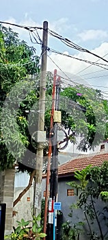 electricity poles and mango trees in the yard look aesthetically pleasing