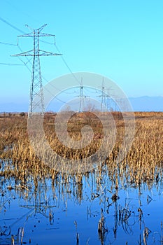 Electricity poles rural nature