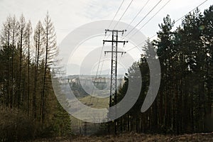 Electricity poles and wires in the nature.