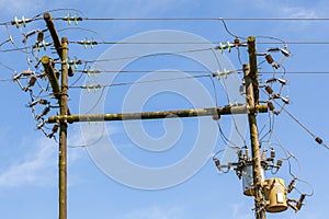 Electricity Poles Wires Transformers Rural Infrastructure