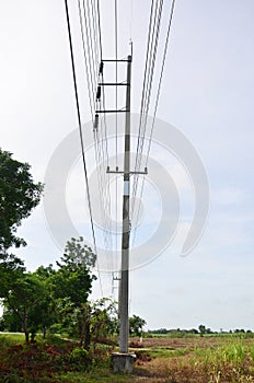 ELECTRICITY POST or Utility pole