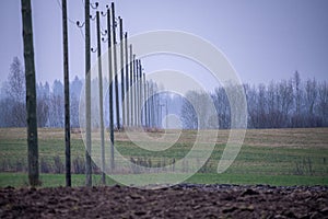 electricity power lines in green autumn meadow field