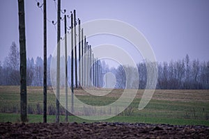 electricity power lines in green autumn meadow field