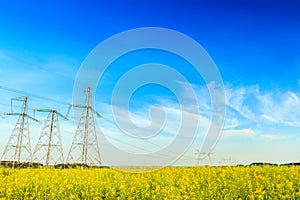 Electricity powerlines in rapeseed field