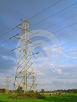 Electricity pylon