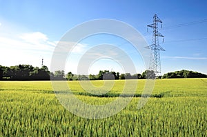 Electricity pylon in barley field