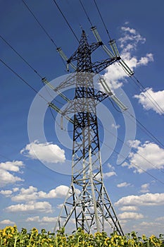 Electricity pylon and cables