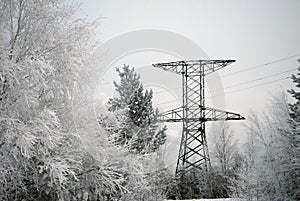 Electricity pylon in forest